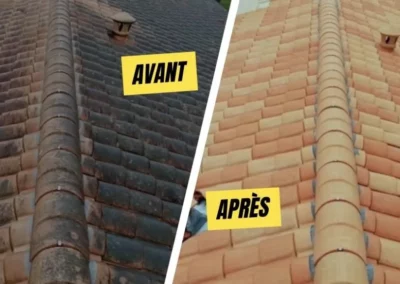 Couvreur rénovation nettoyage toiture lot 46